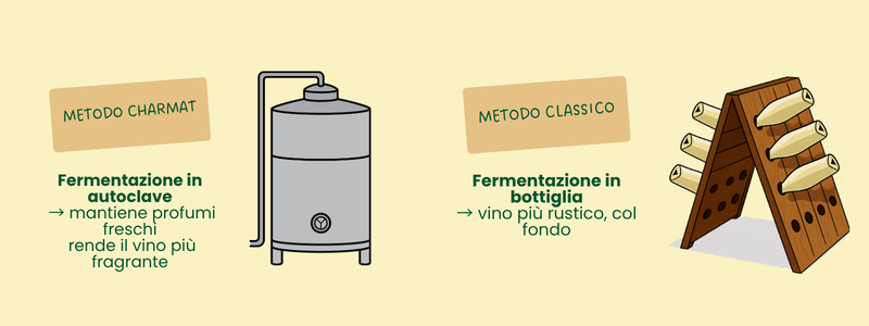 Metodi di fermentazioni vini frizzanti spumanti Colderove